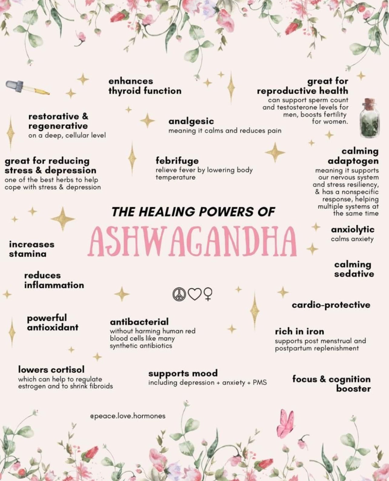 CasaDuzzle™ 🌿 Ashwagandha – Natural Stress & Energy Support