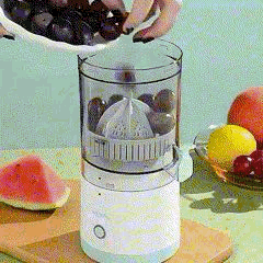 CasaDuzzle™ Electric Juice Maker