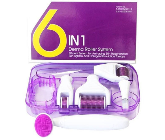 CasaDuzzle™ 6 in 1 Deam Roller System