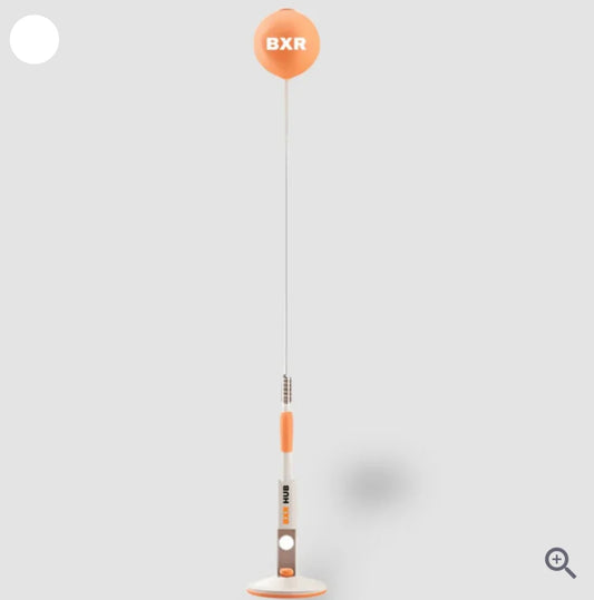 CasaDuzzle™ Boxing Reflex Ball