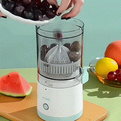 Electric Juice Maker