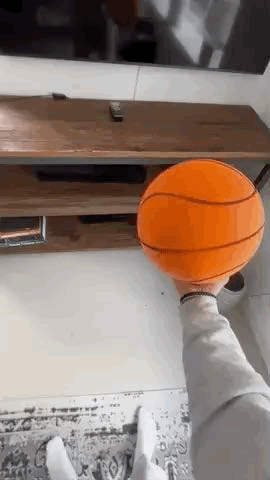 CasaDuzzle™ Silent Basketball