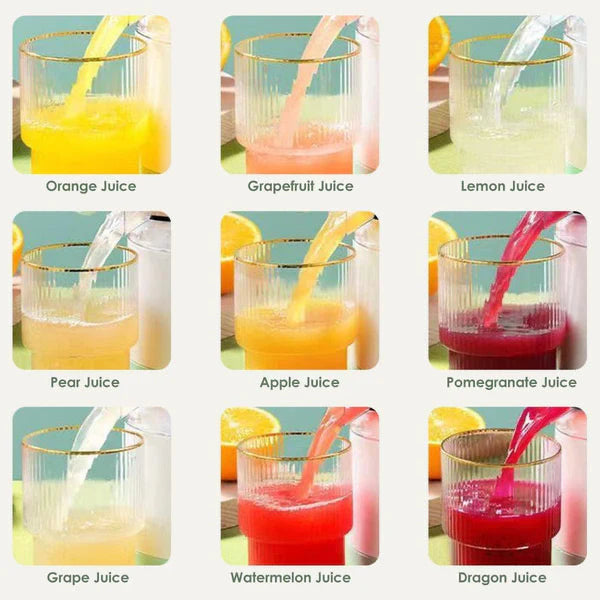 CasaDuzzle™ Electric Juice Maker